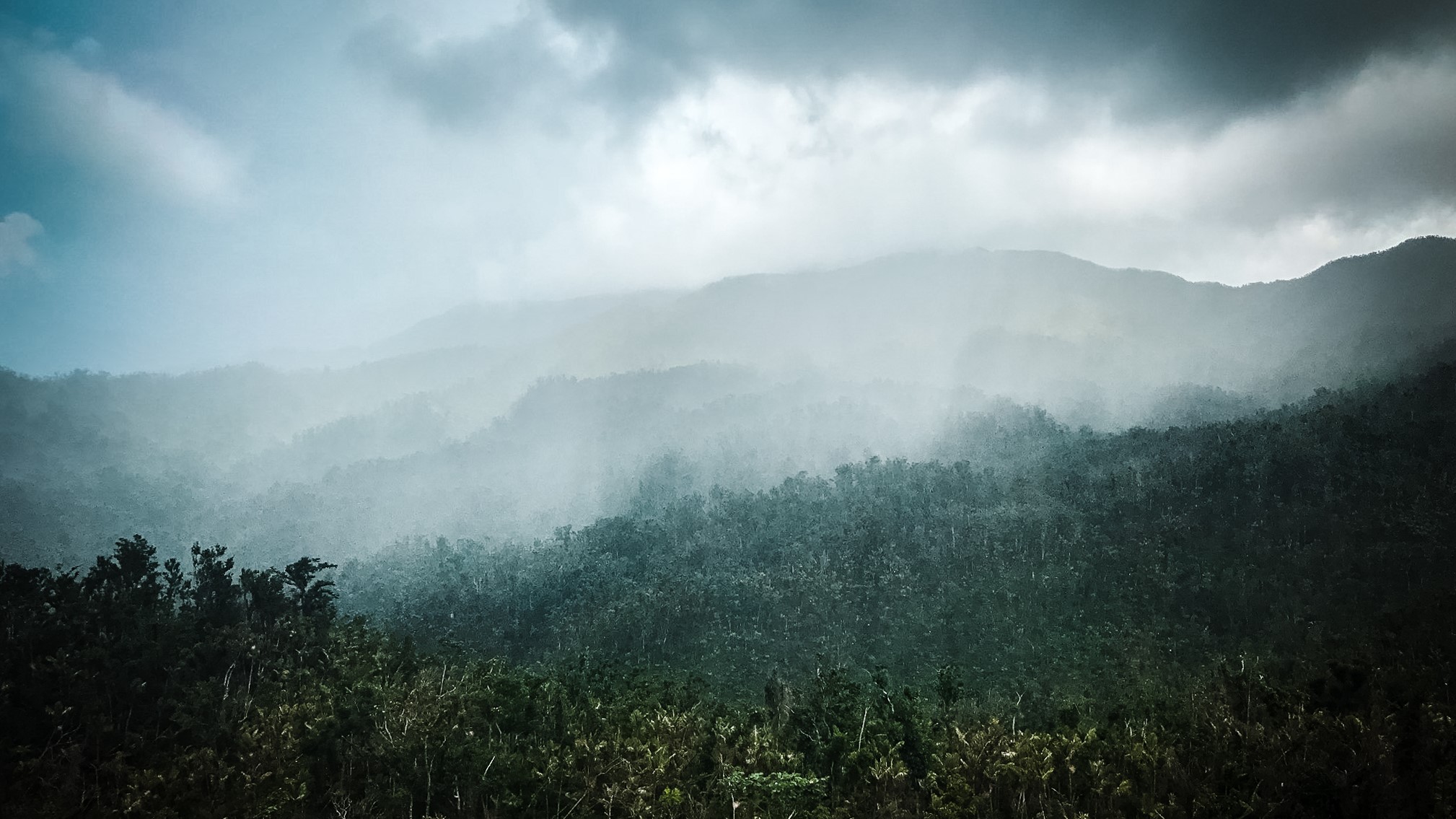 Rain in the rainforest