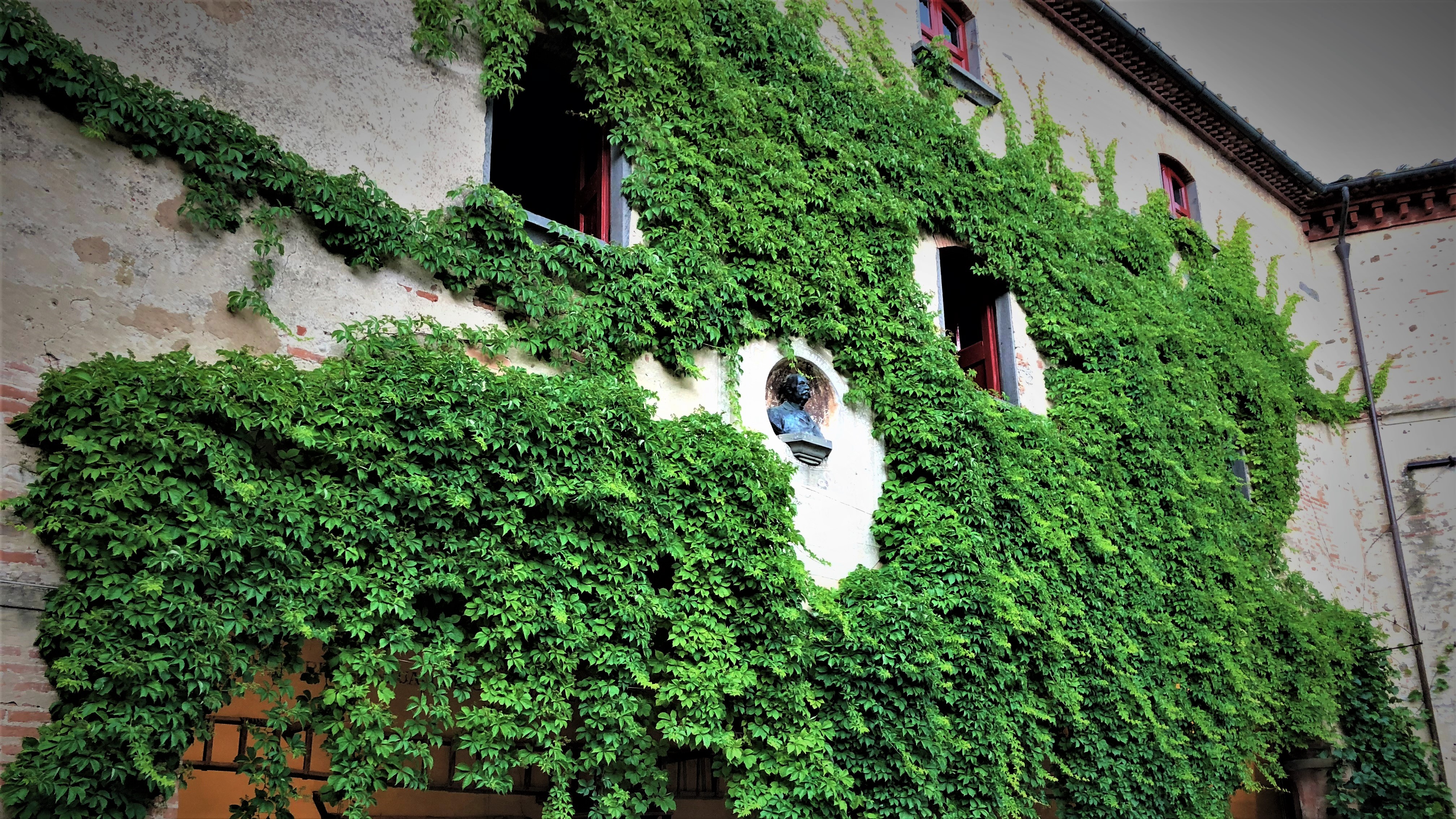 In the castle grounds