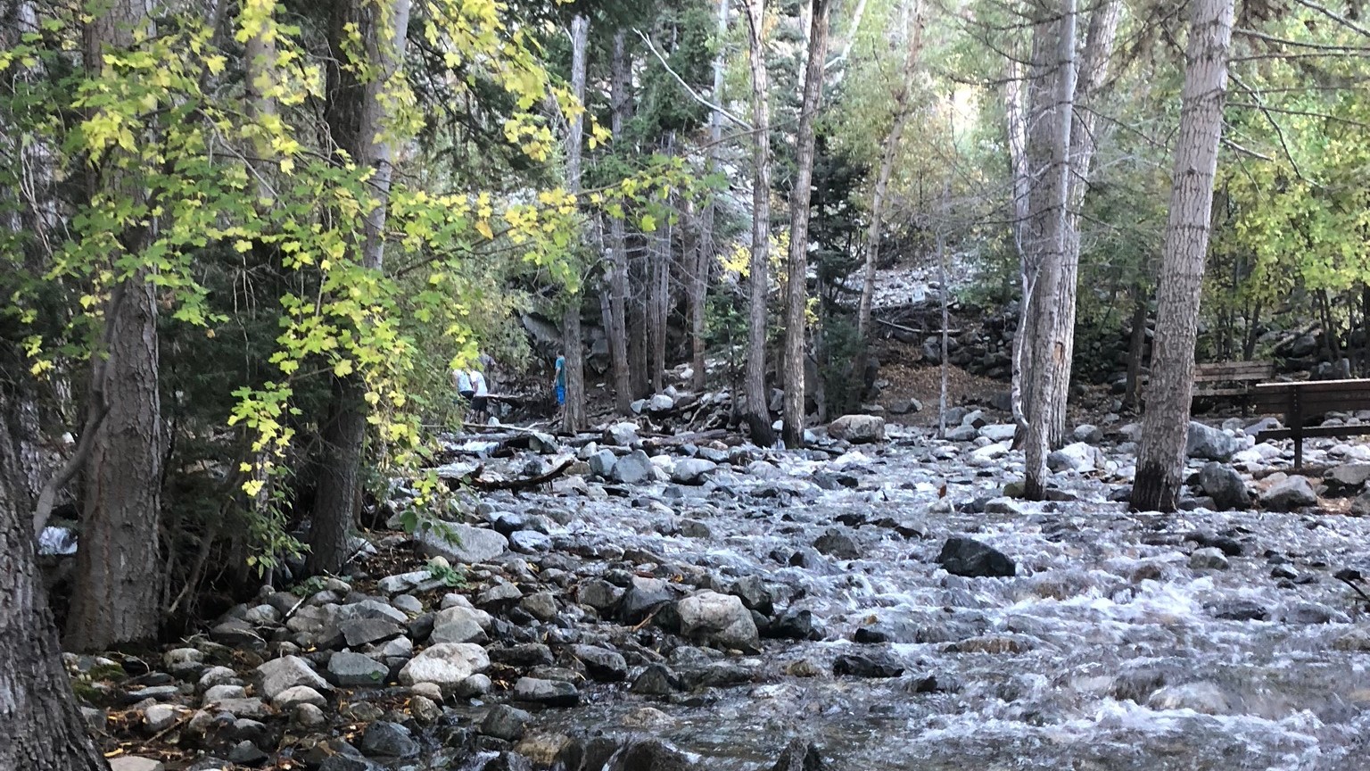 Walking Upstream