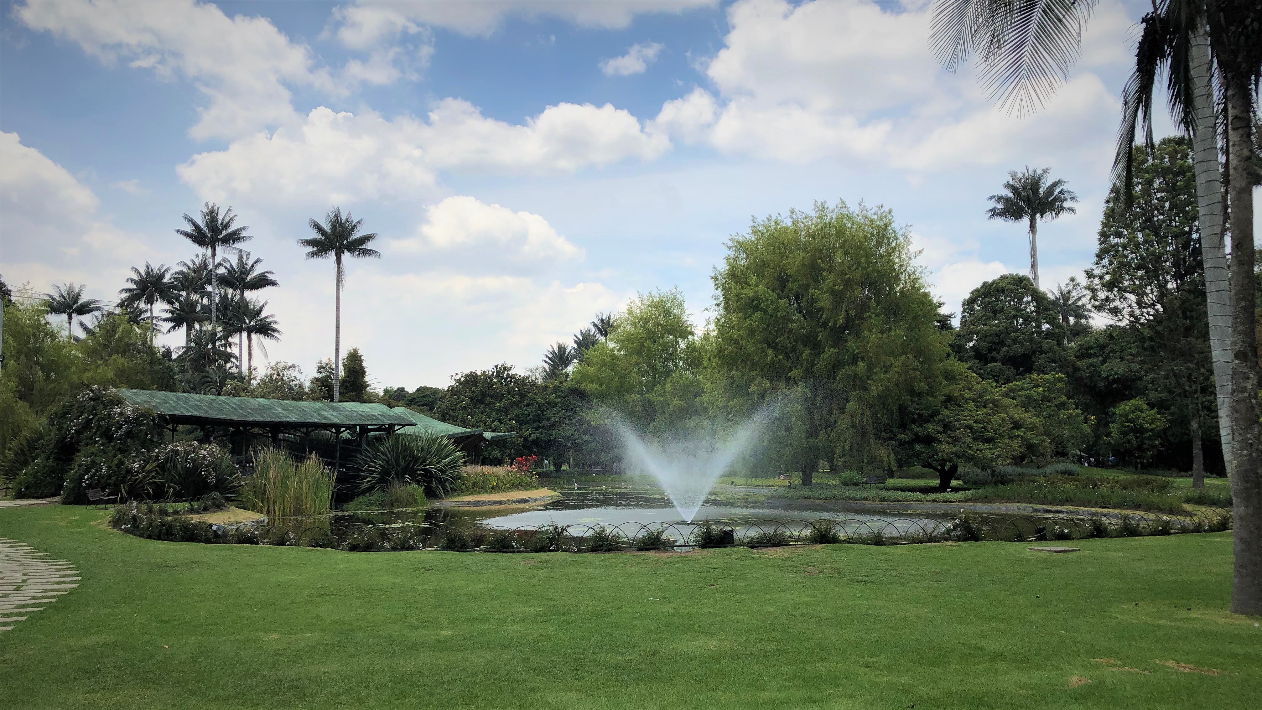 Jardín Botánico Grounds