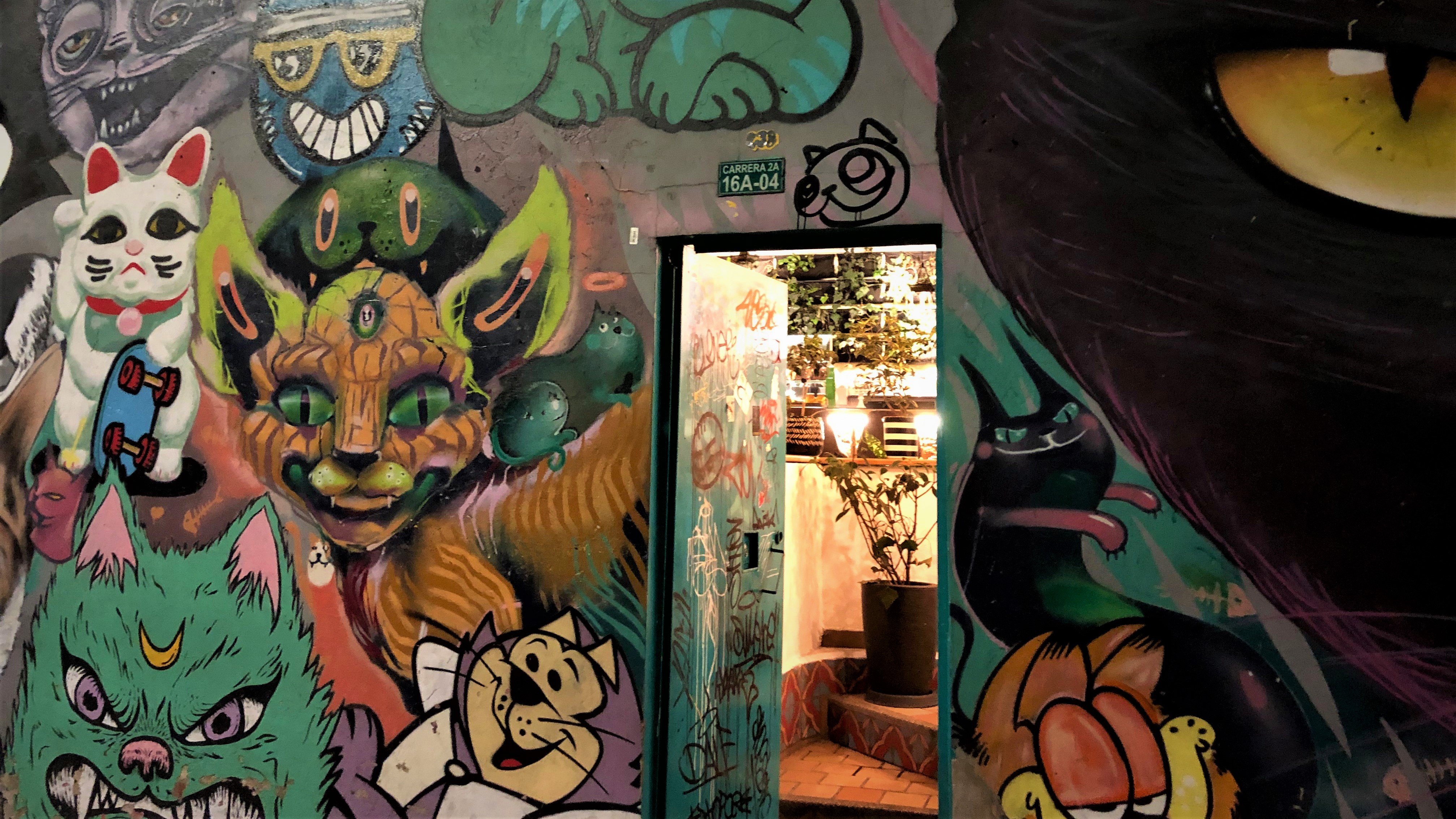 Gato Graffiti