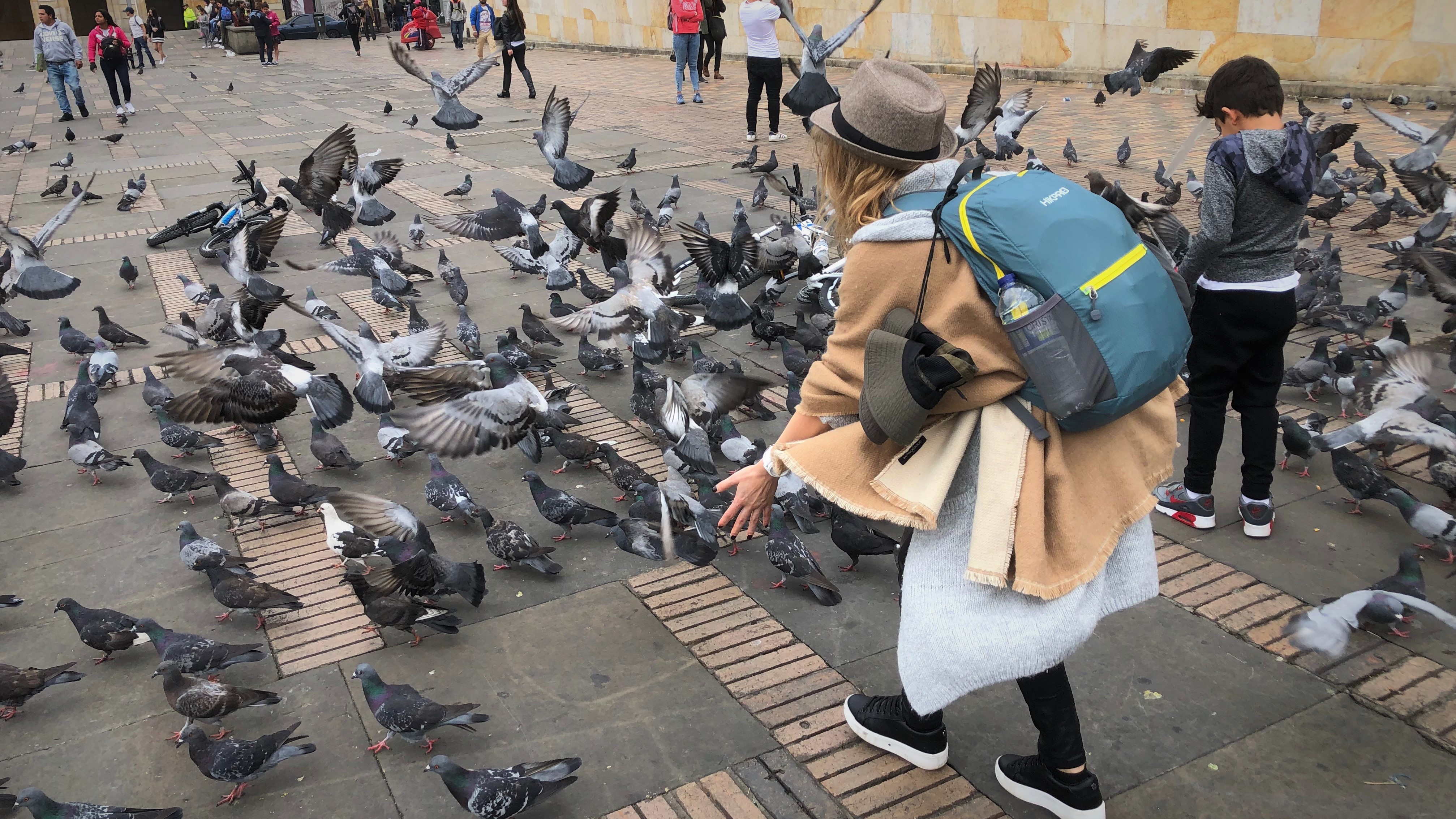 Giving pigeons anxiety