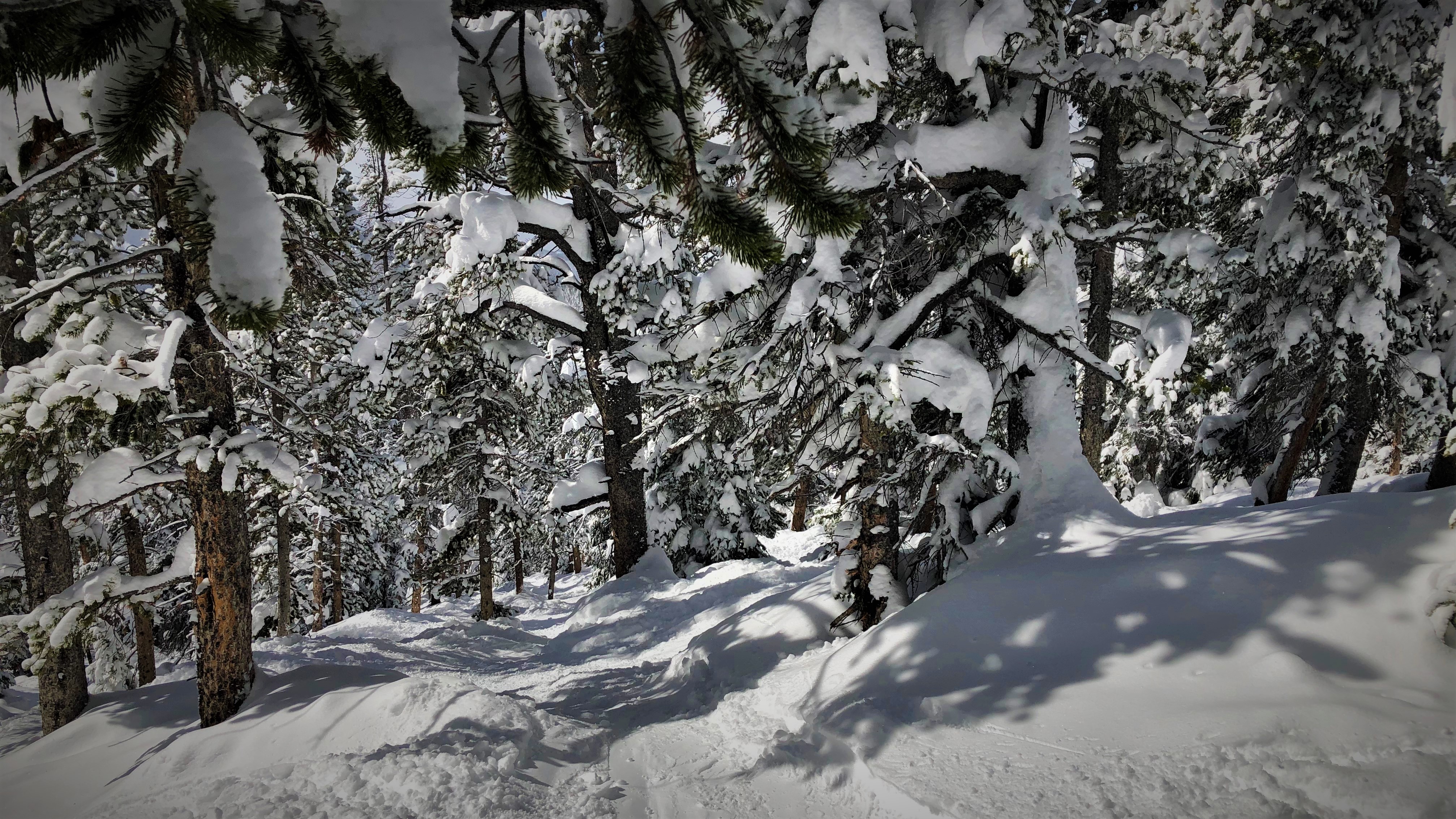 Glades