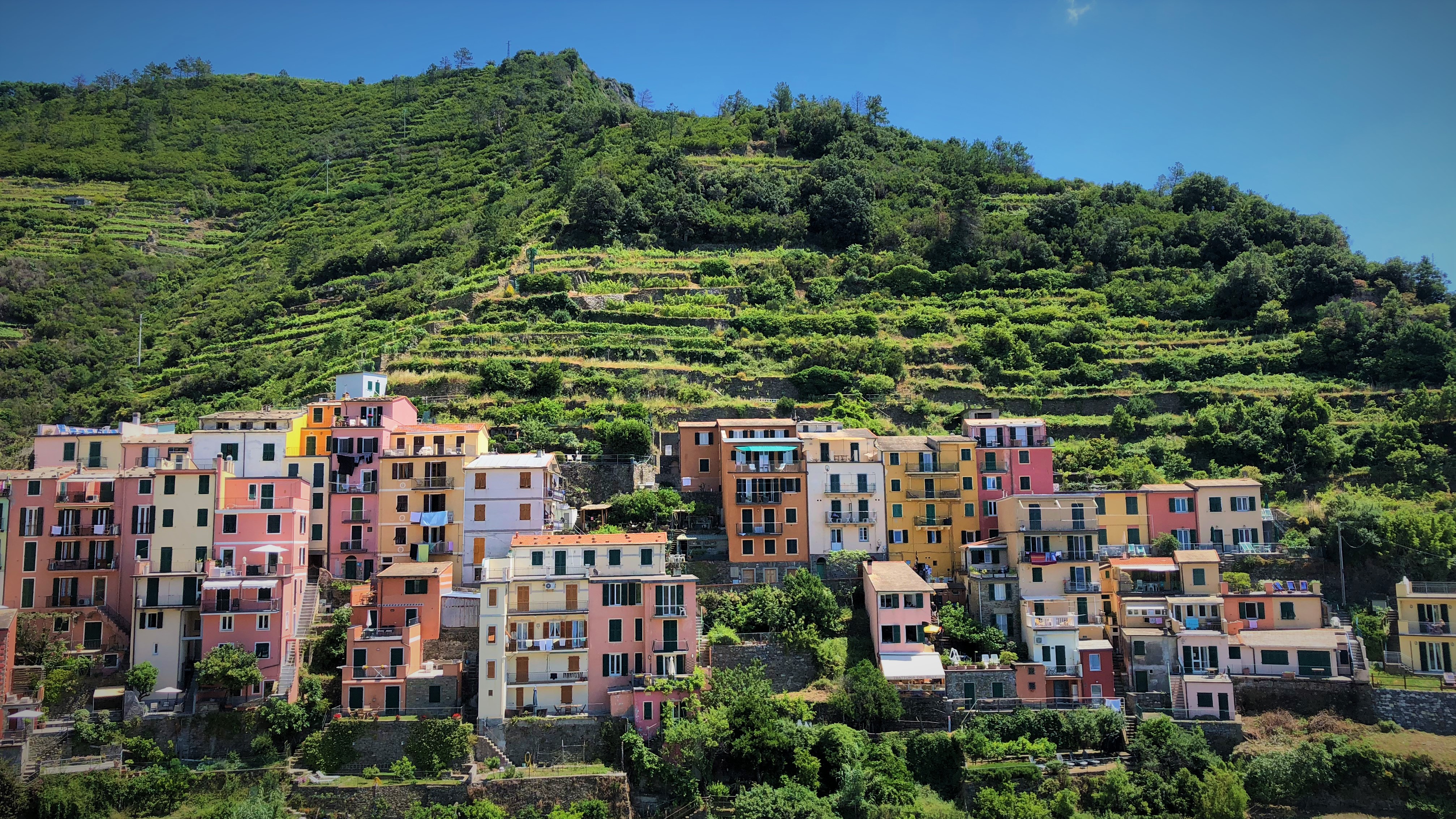 Village on the Terrace