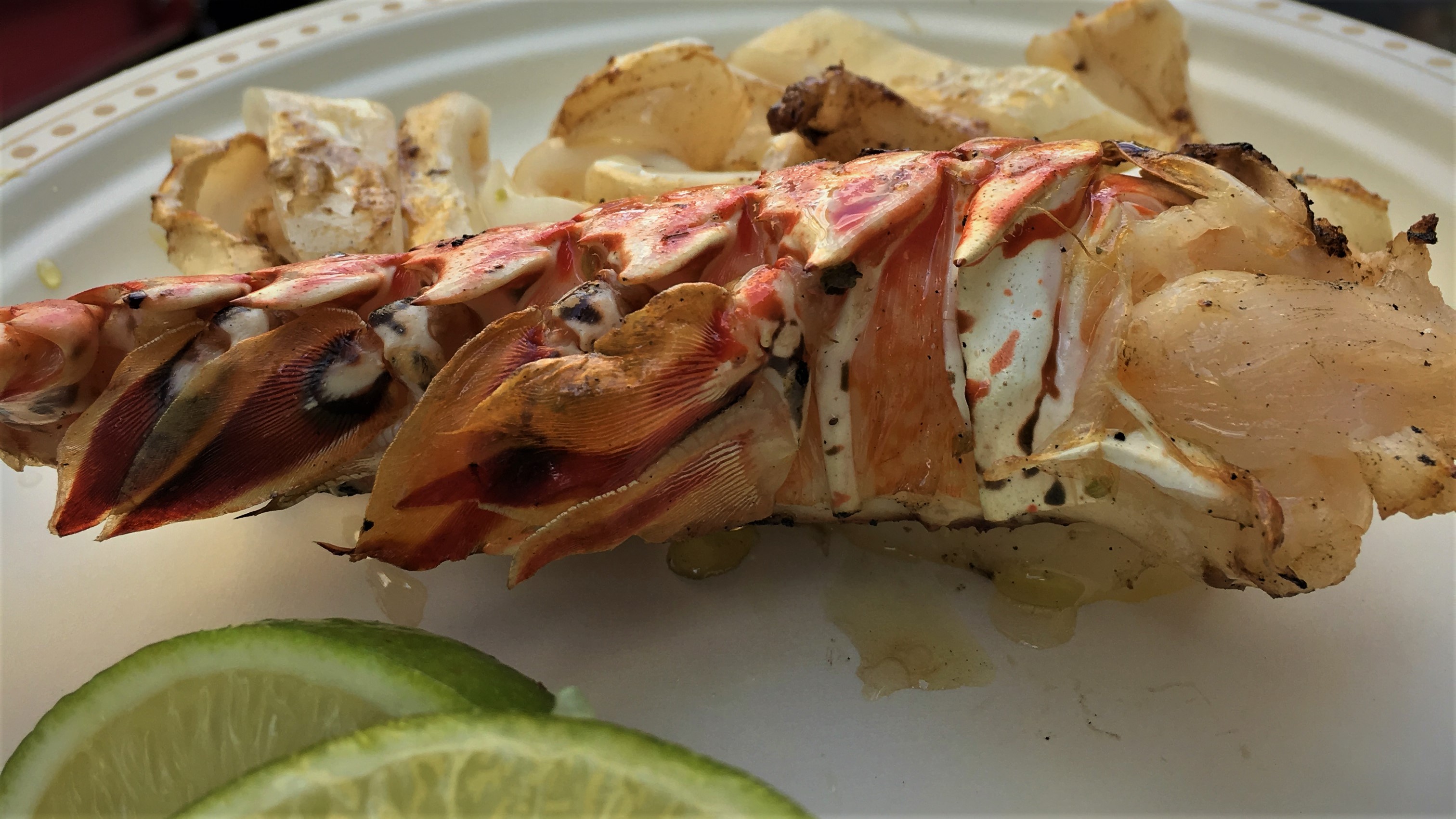 Lobstaaa