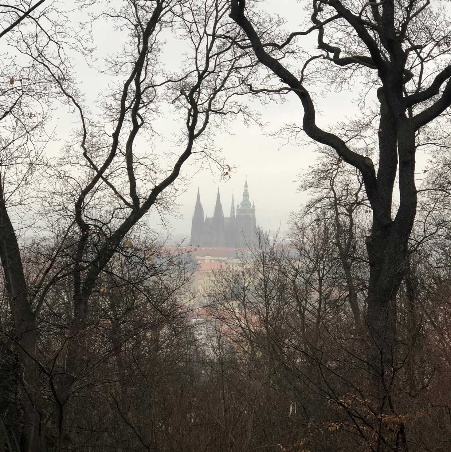 Petrin gardens, looking at St. Vitus
