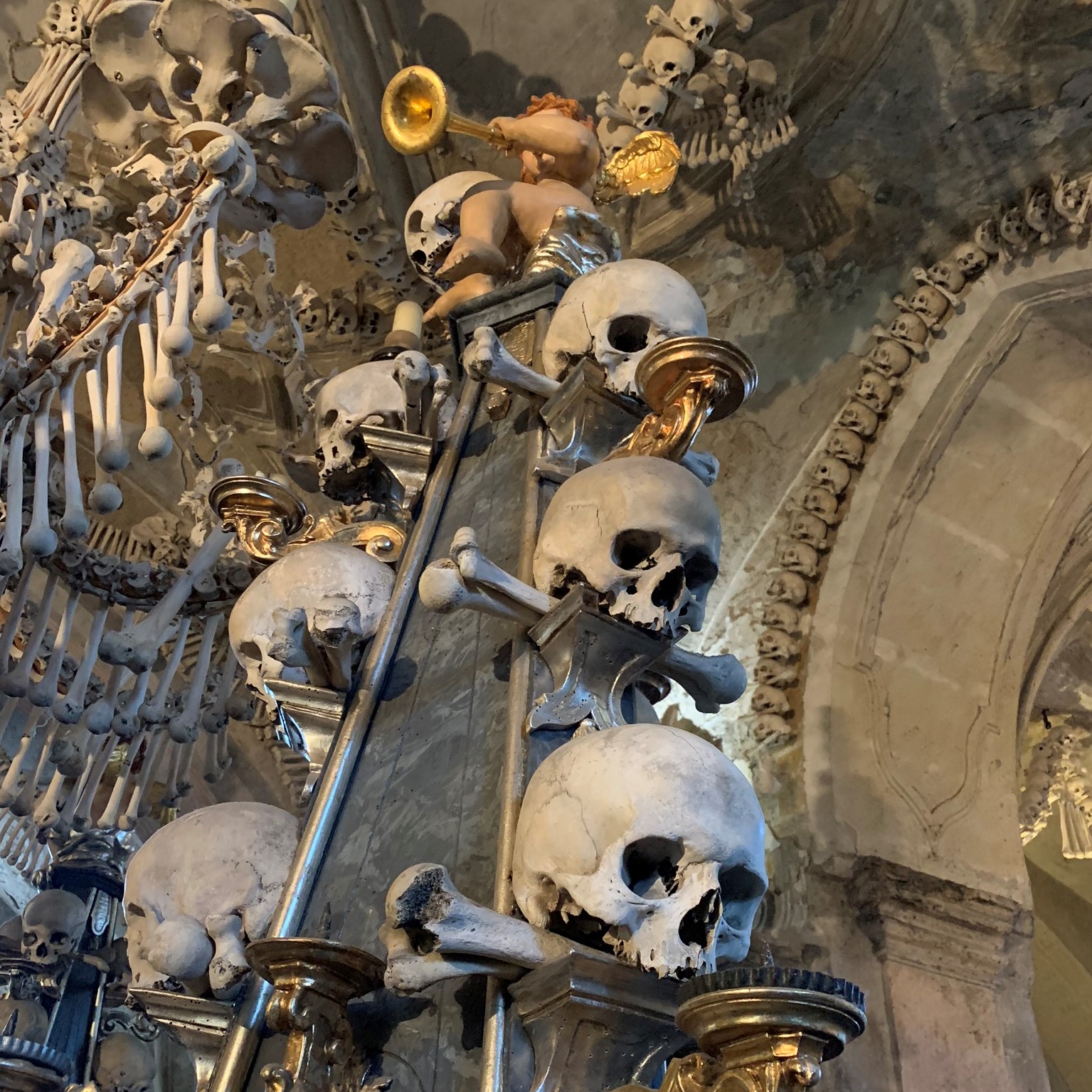 We were told an Aussie licked a skull on the last tour... I don't even doubt it