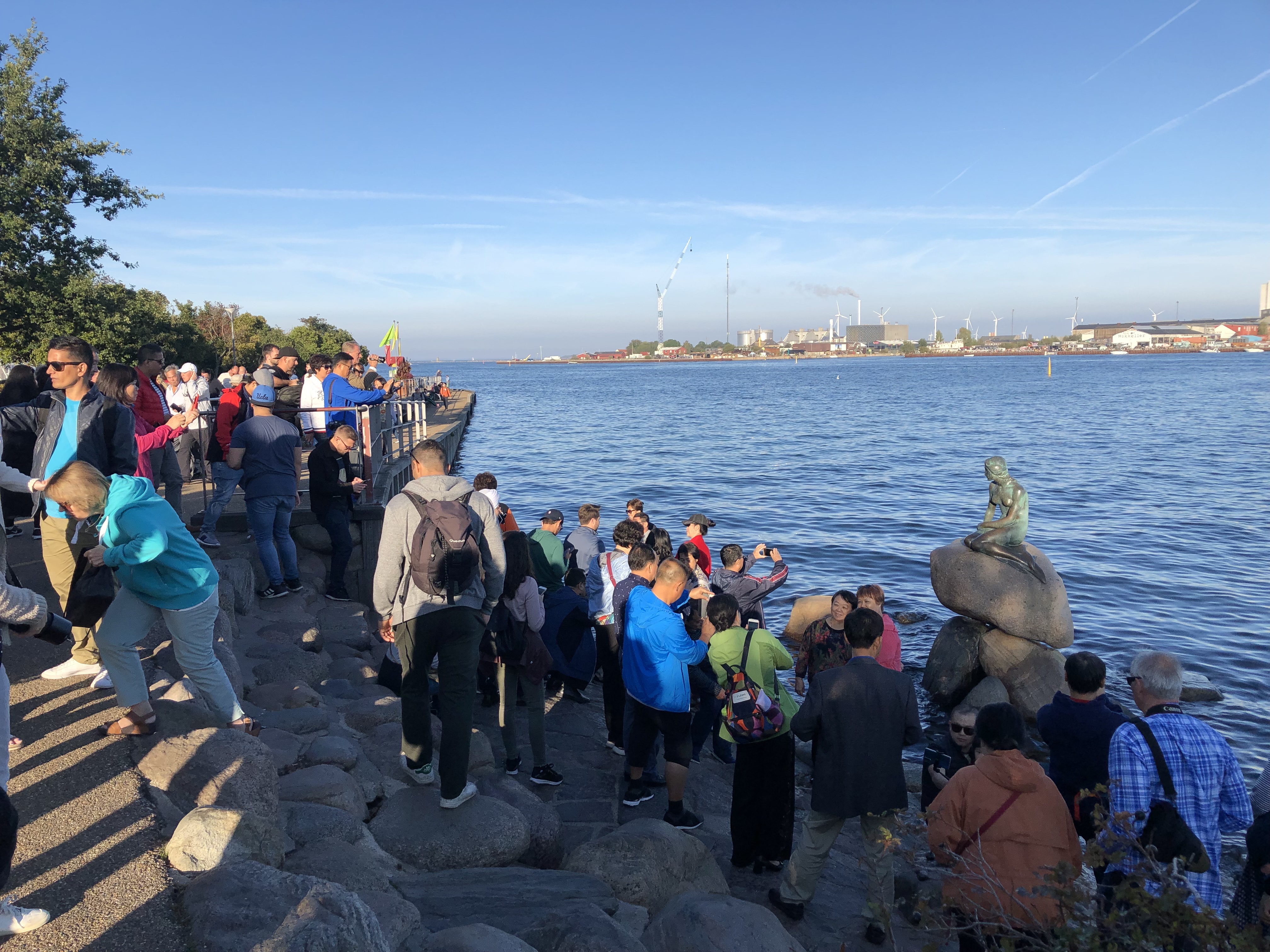 The Mermaid is popular