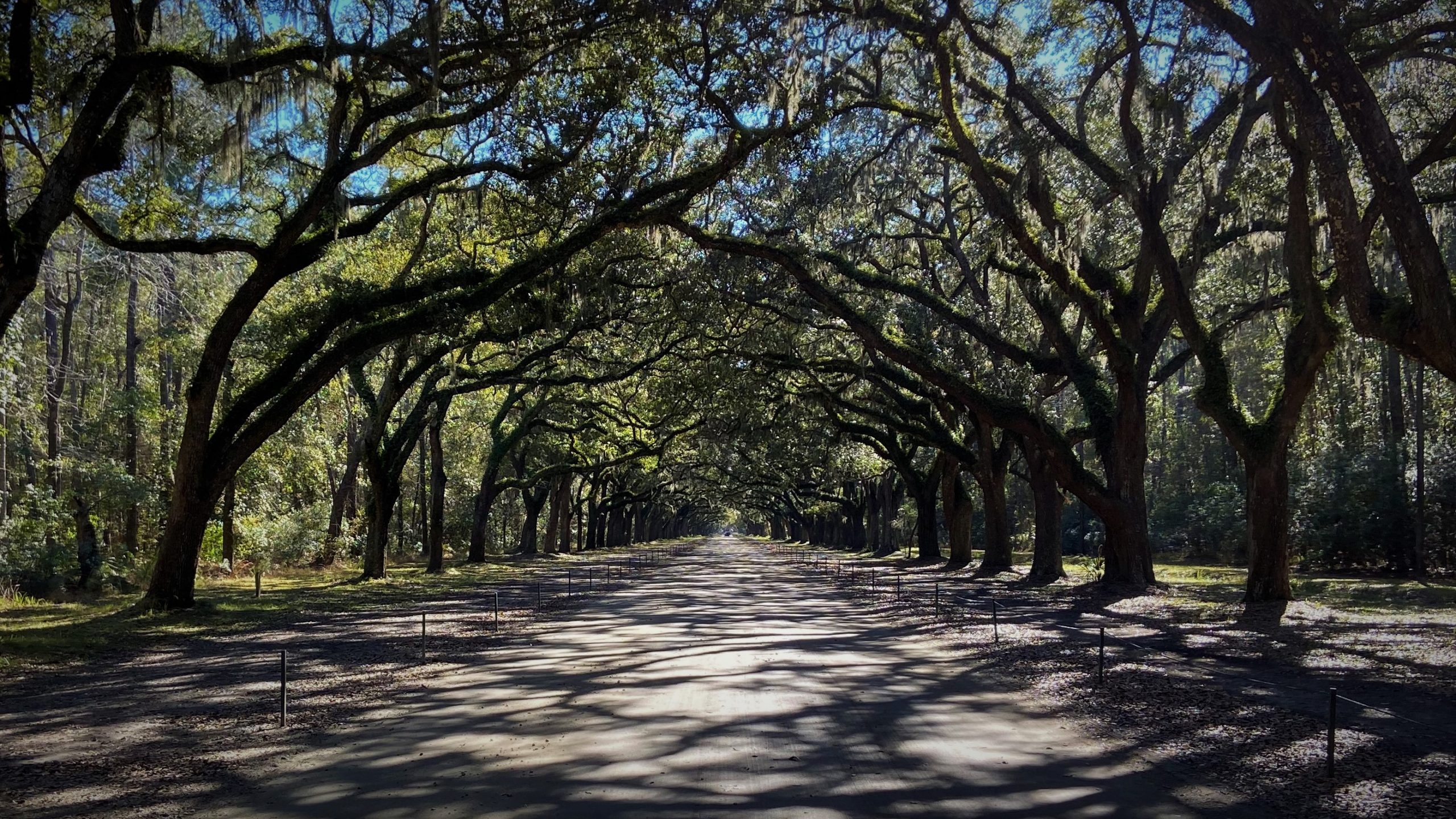 Wormsloe Savannah