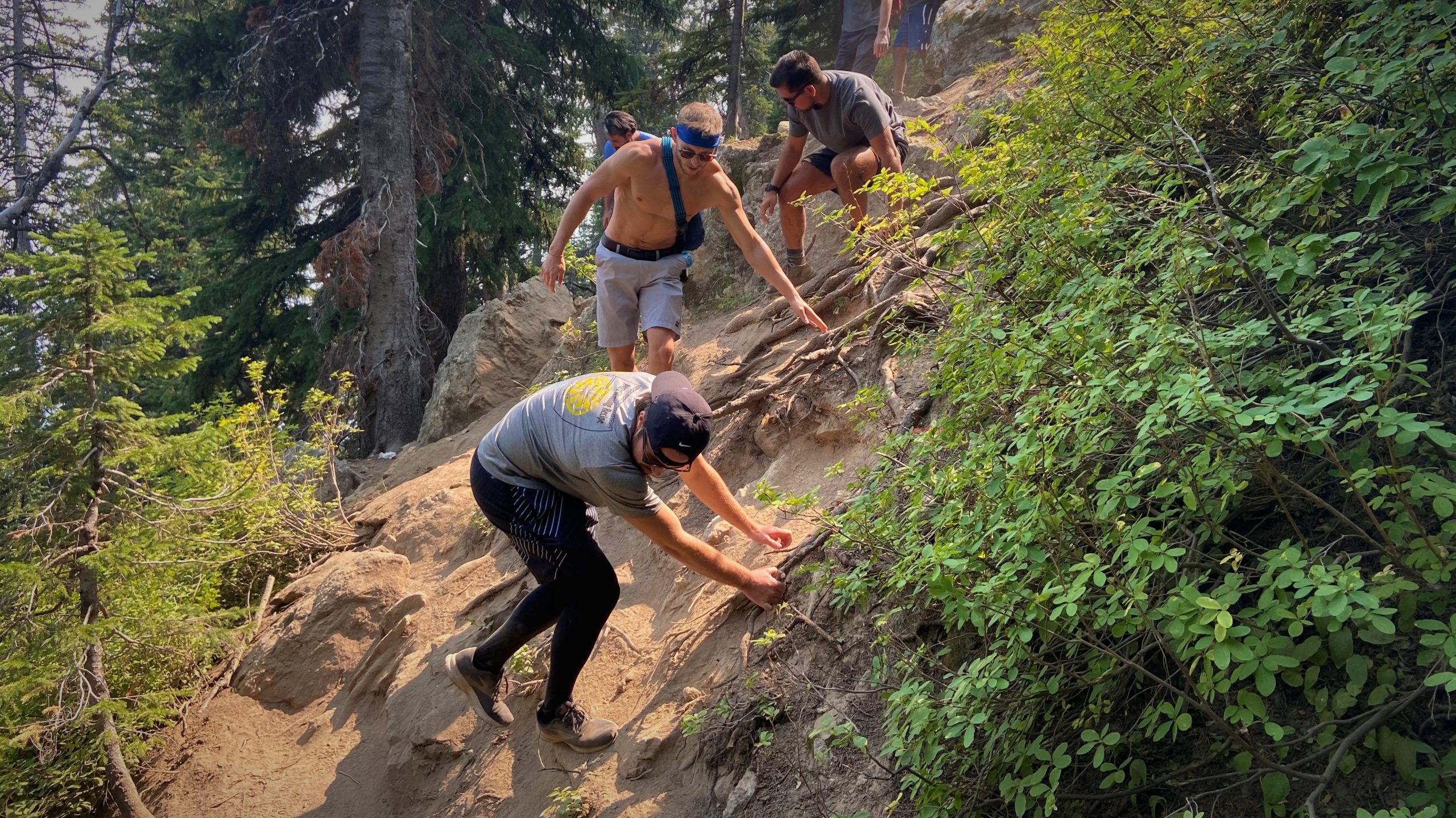 The Hike