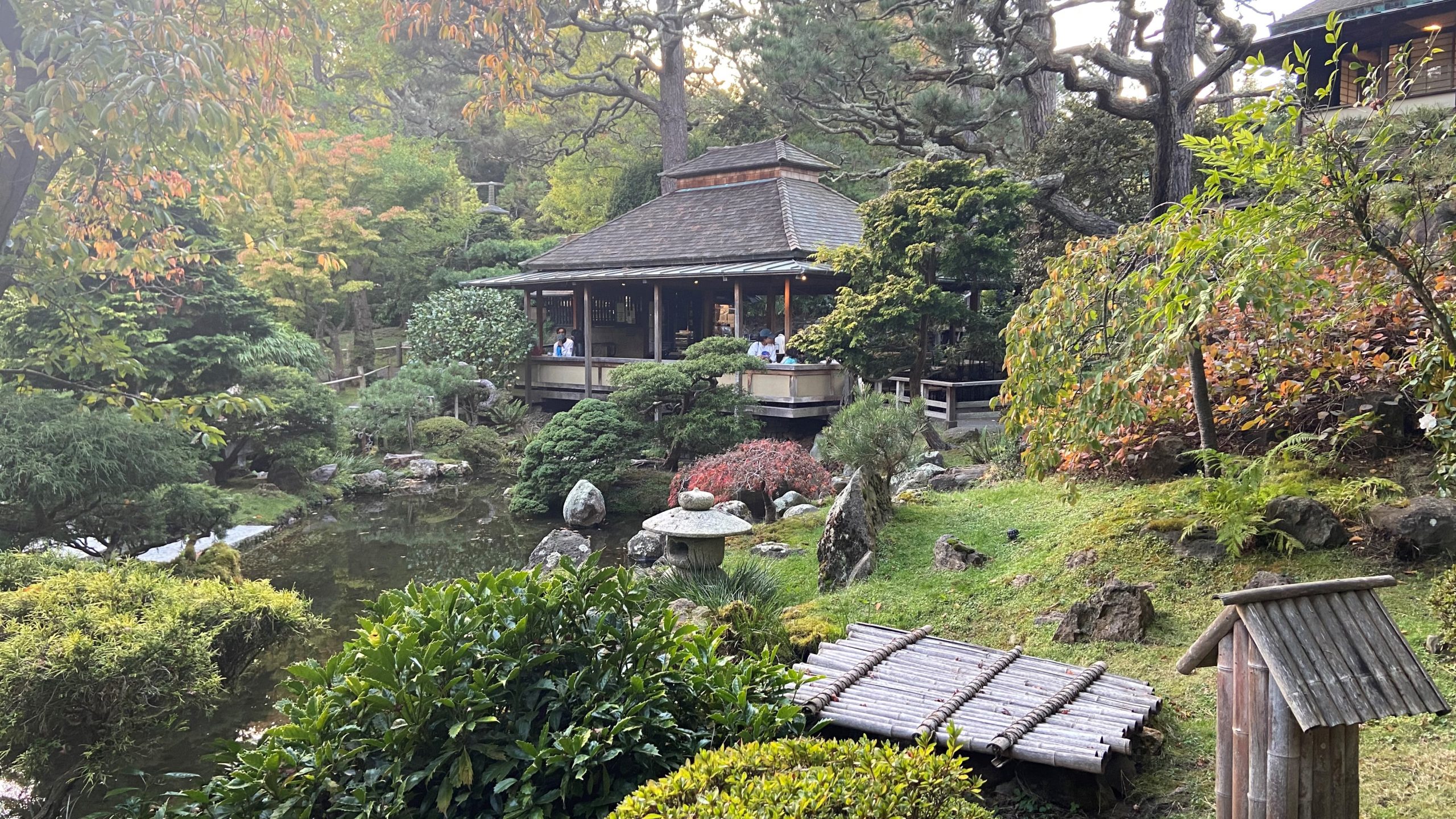 Cake, Tea, and Zen