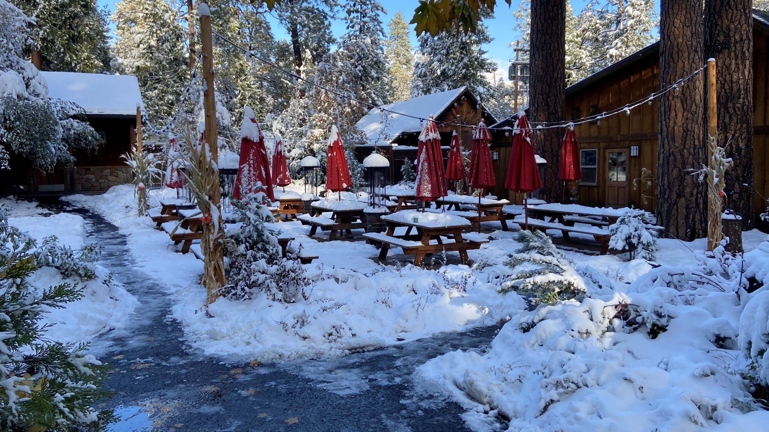 A bit snowy