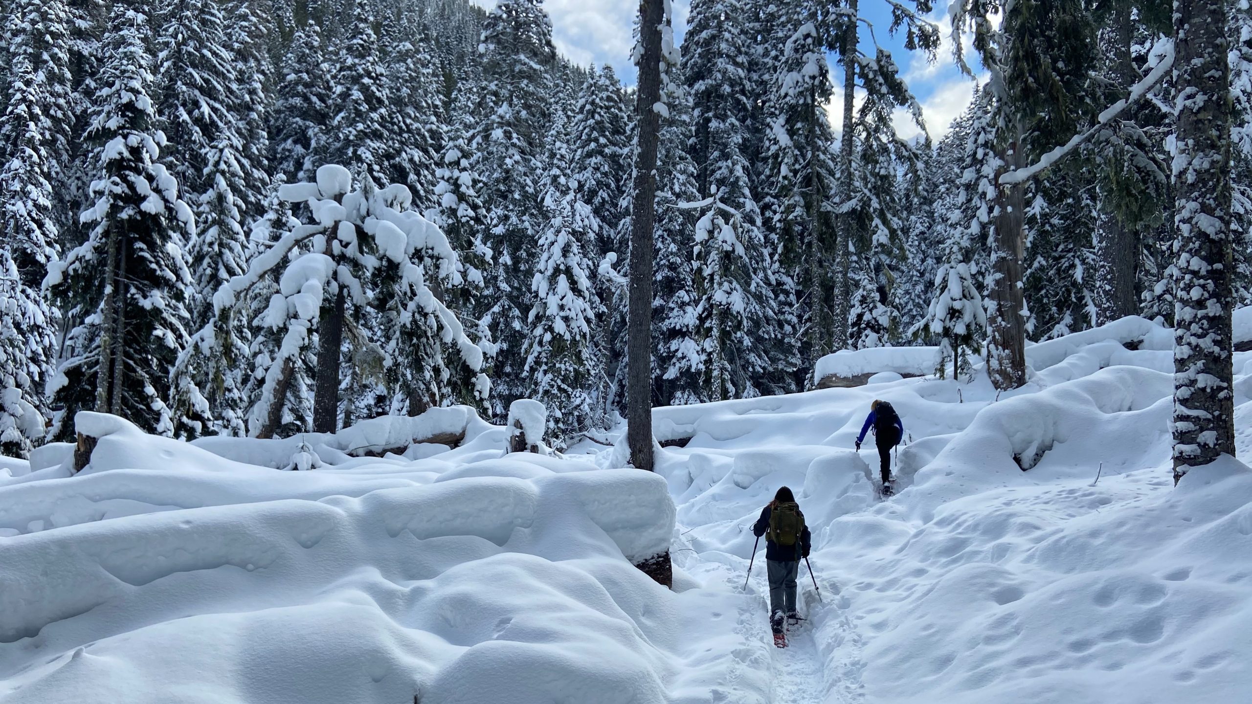 Our first snowshoe trek