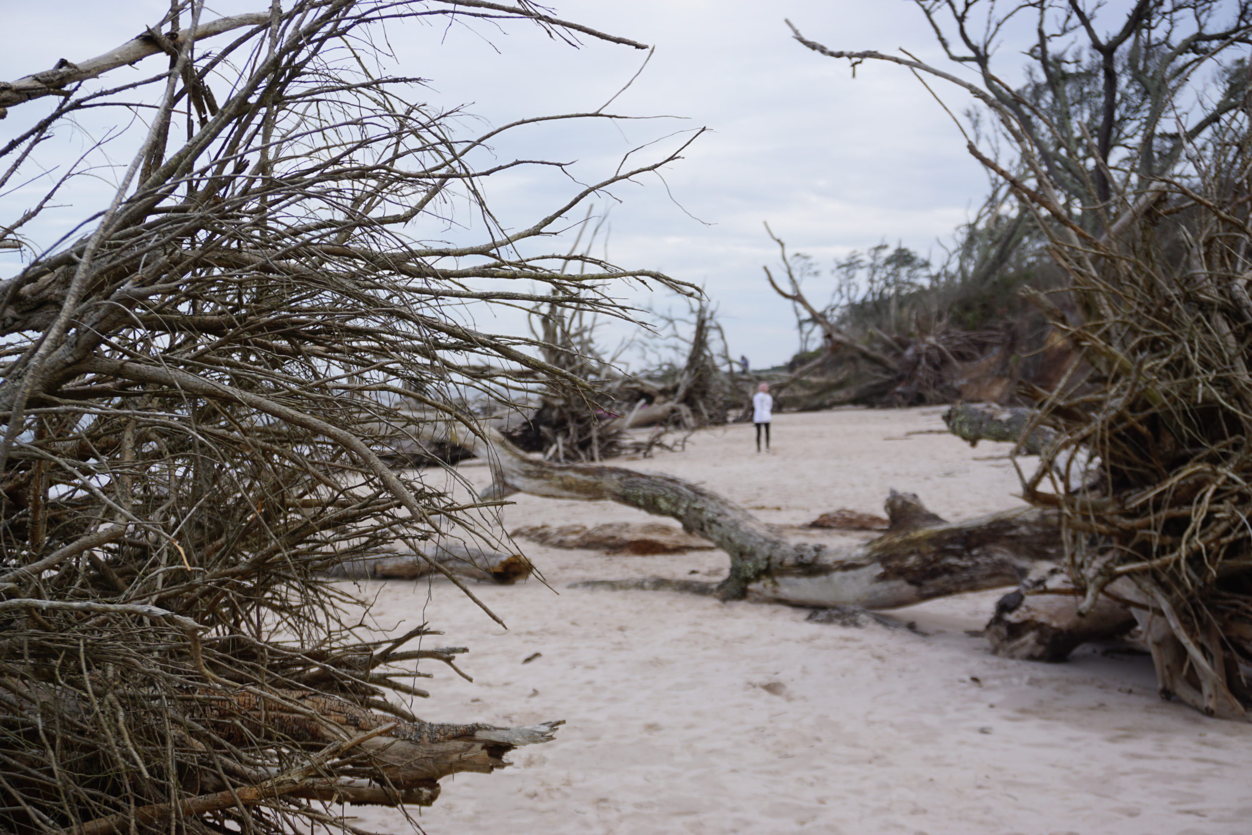 Boneyard Beach