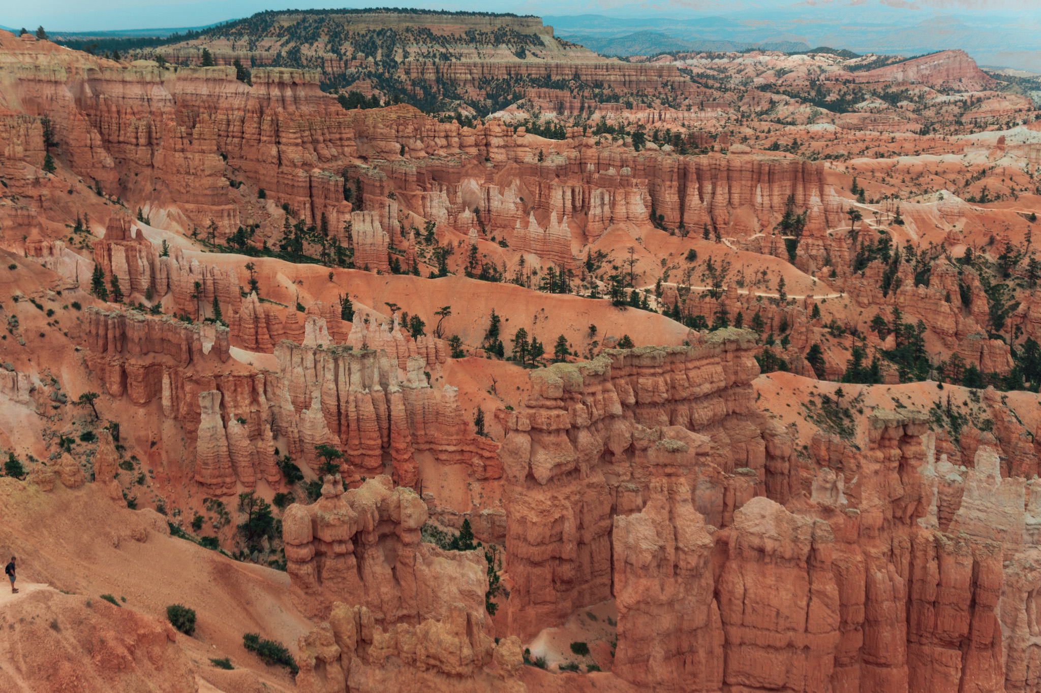 bryce 1