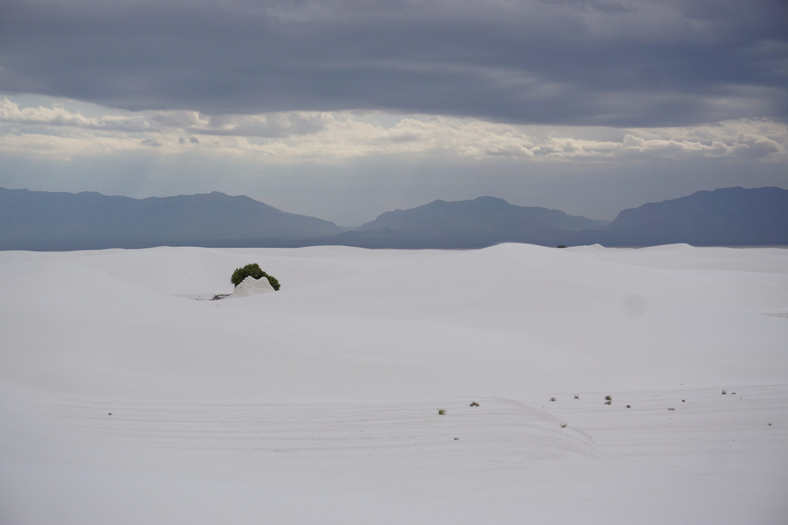 white sands 2