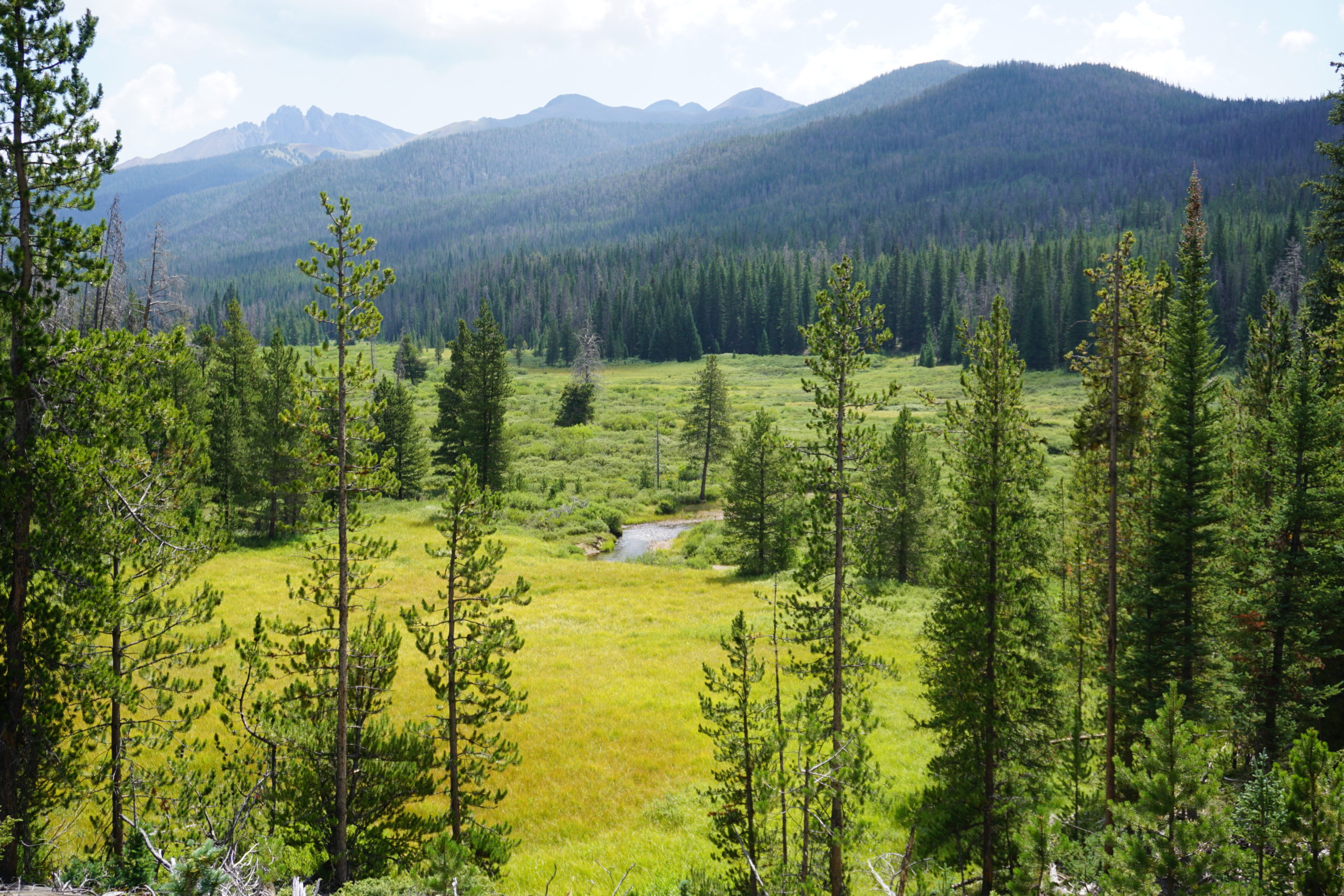 Ranger lake trail