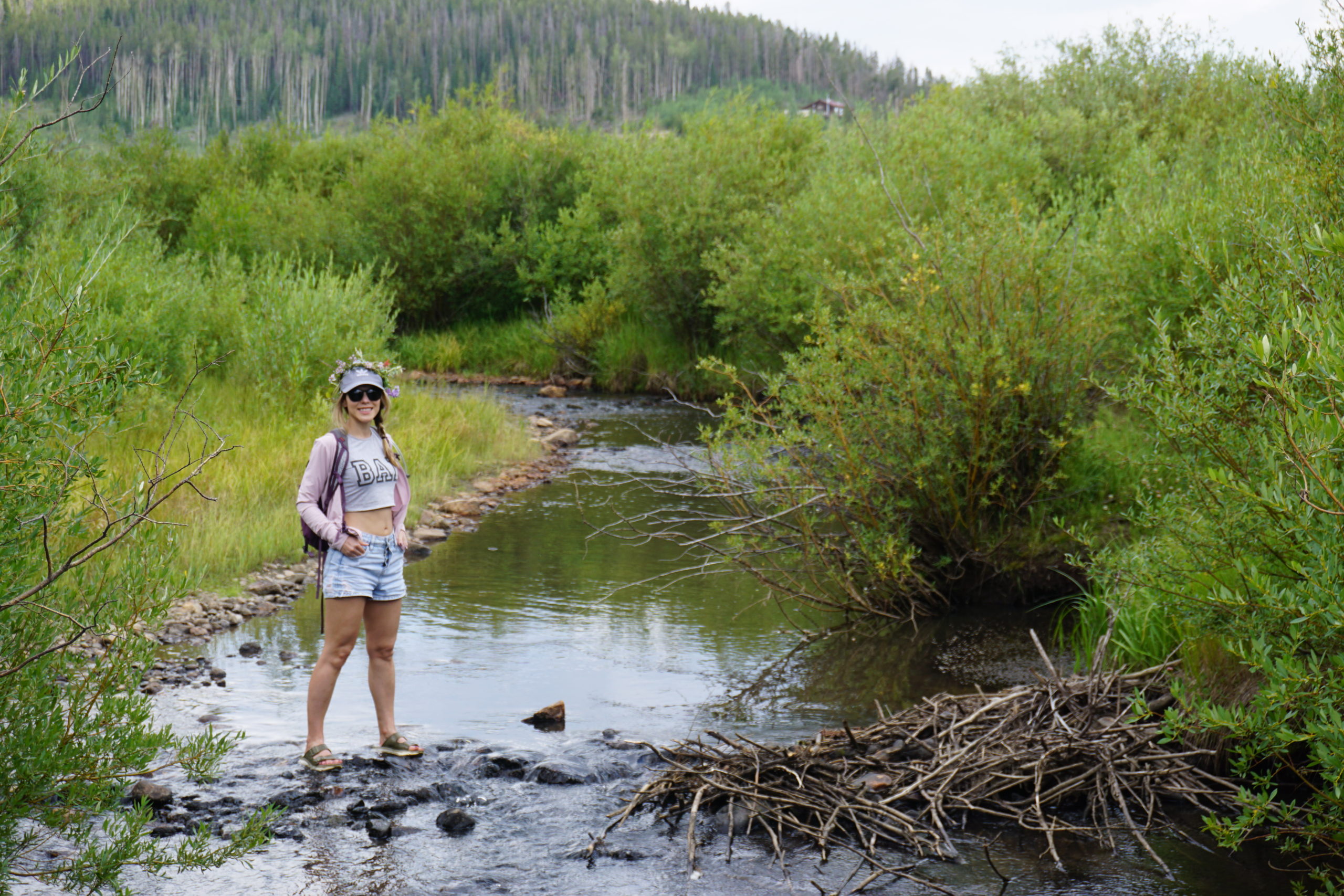 beaver trail