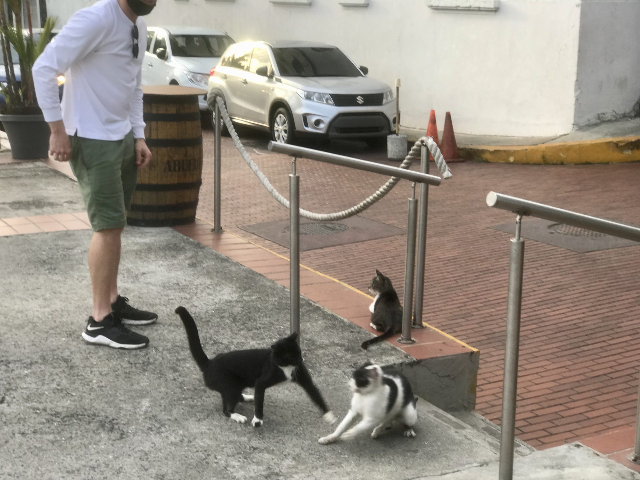 Casco viejo cat 2