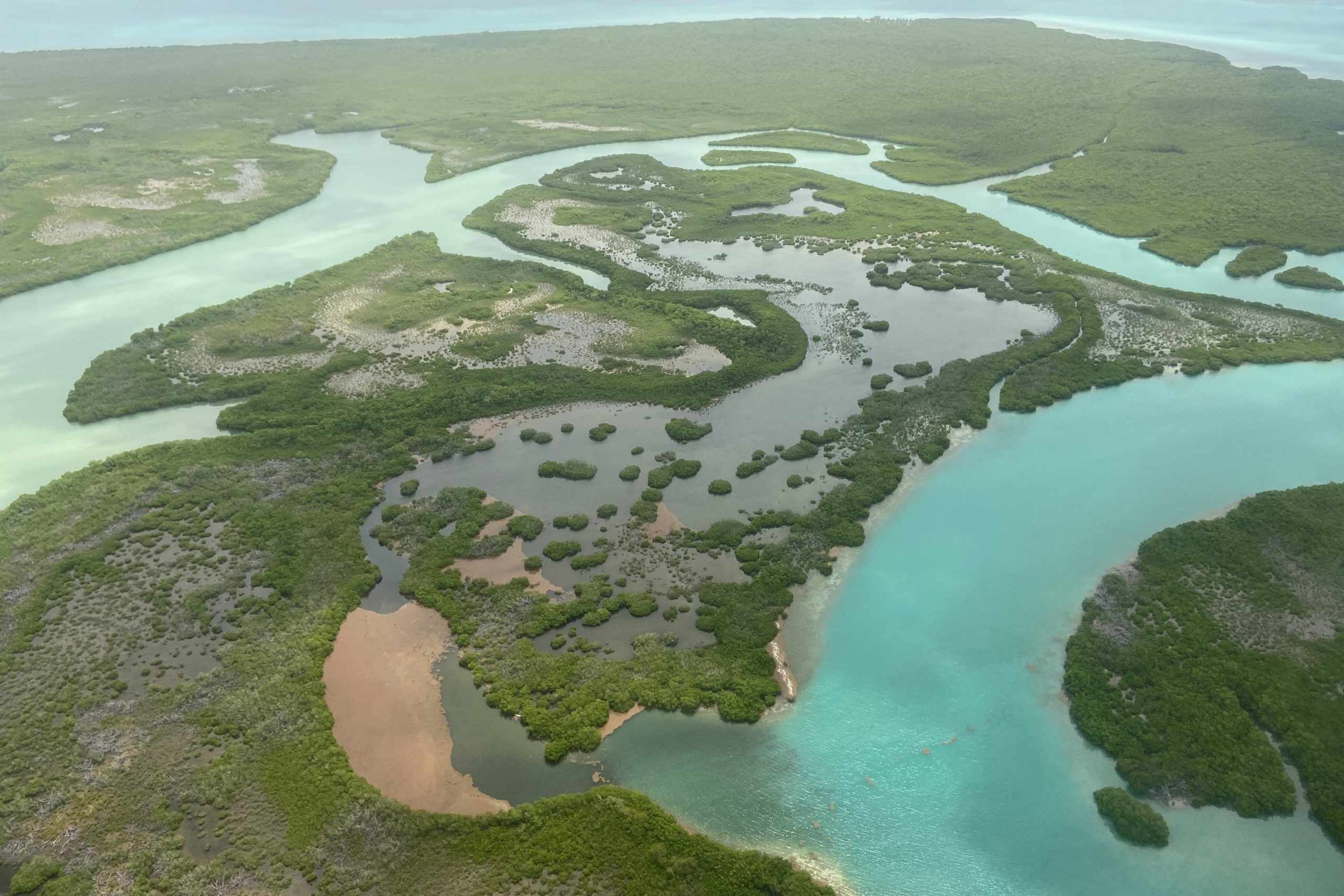 Belize blue hole 3