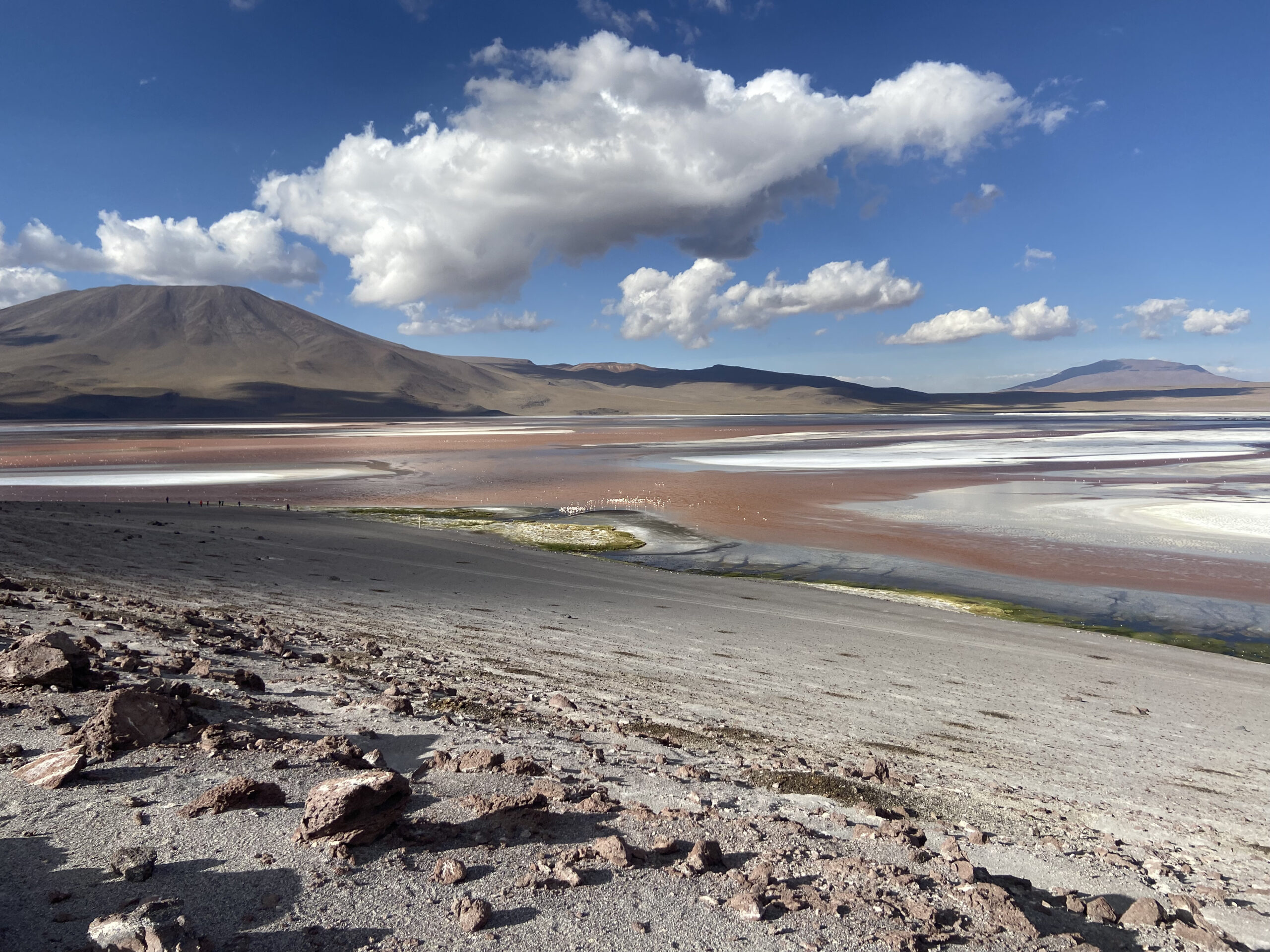 Laguna Colorada