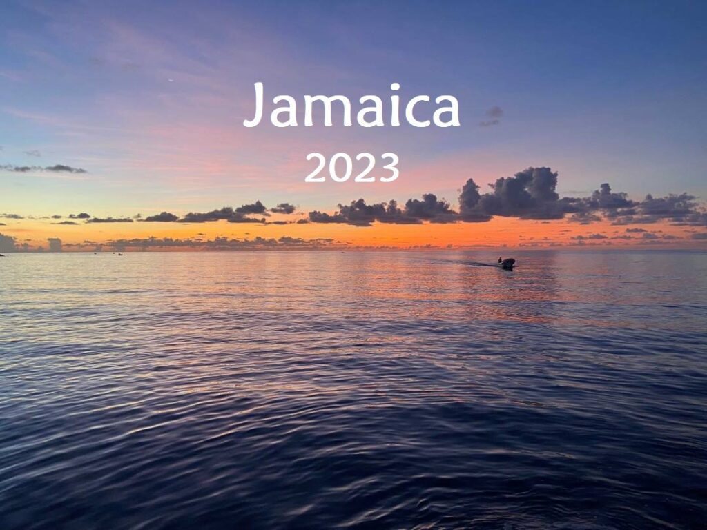 Read more about the article Roadtrippin’ in Jamaica