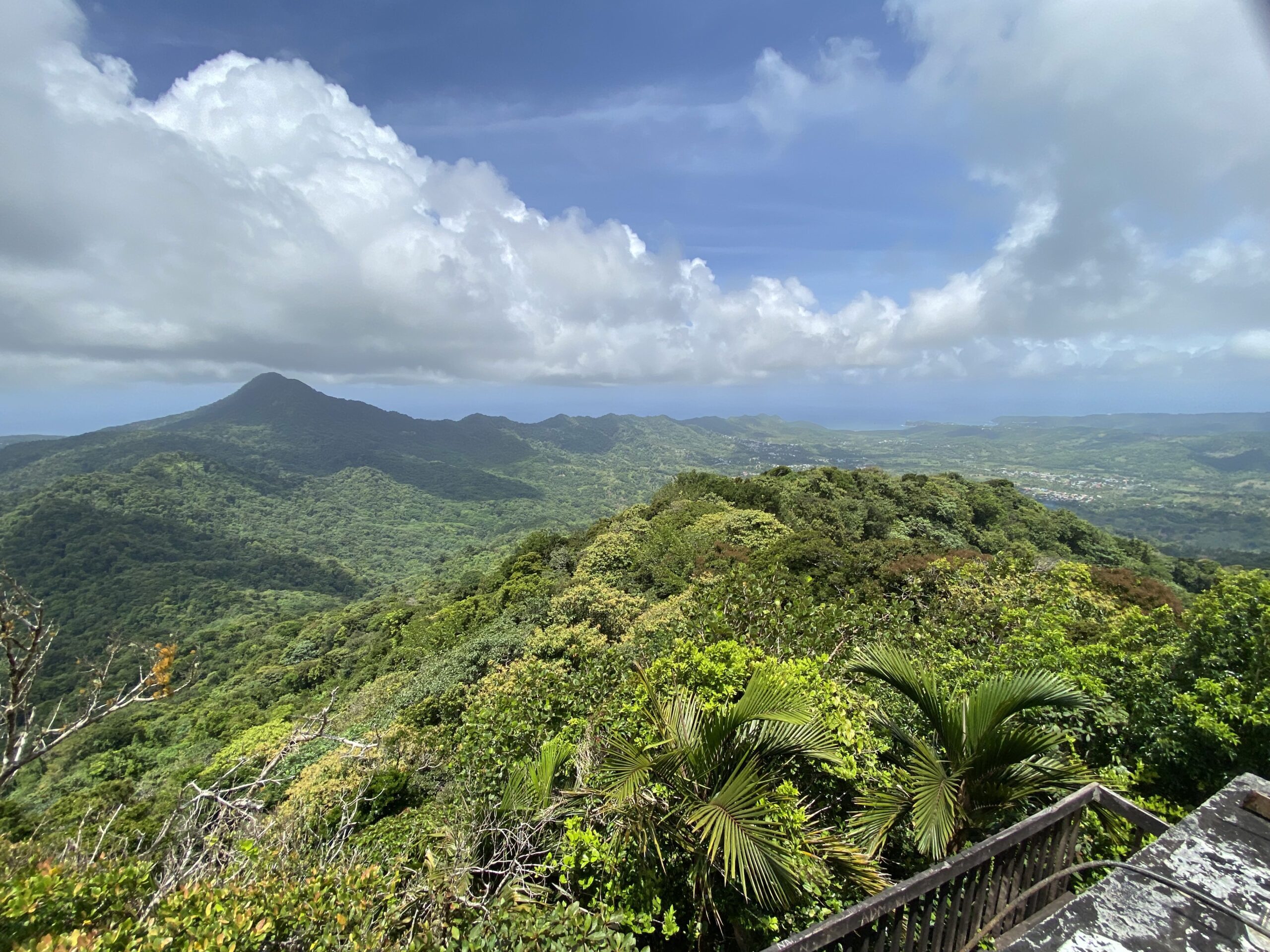 Top of Piton Flore