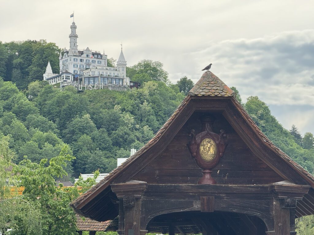 Read more about the article Lions, Bridges and Forts oh my!