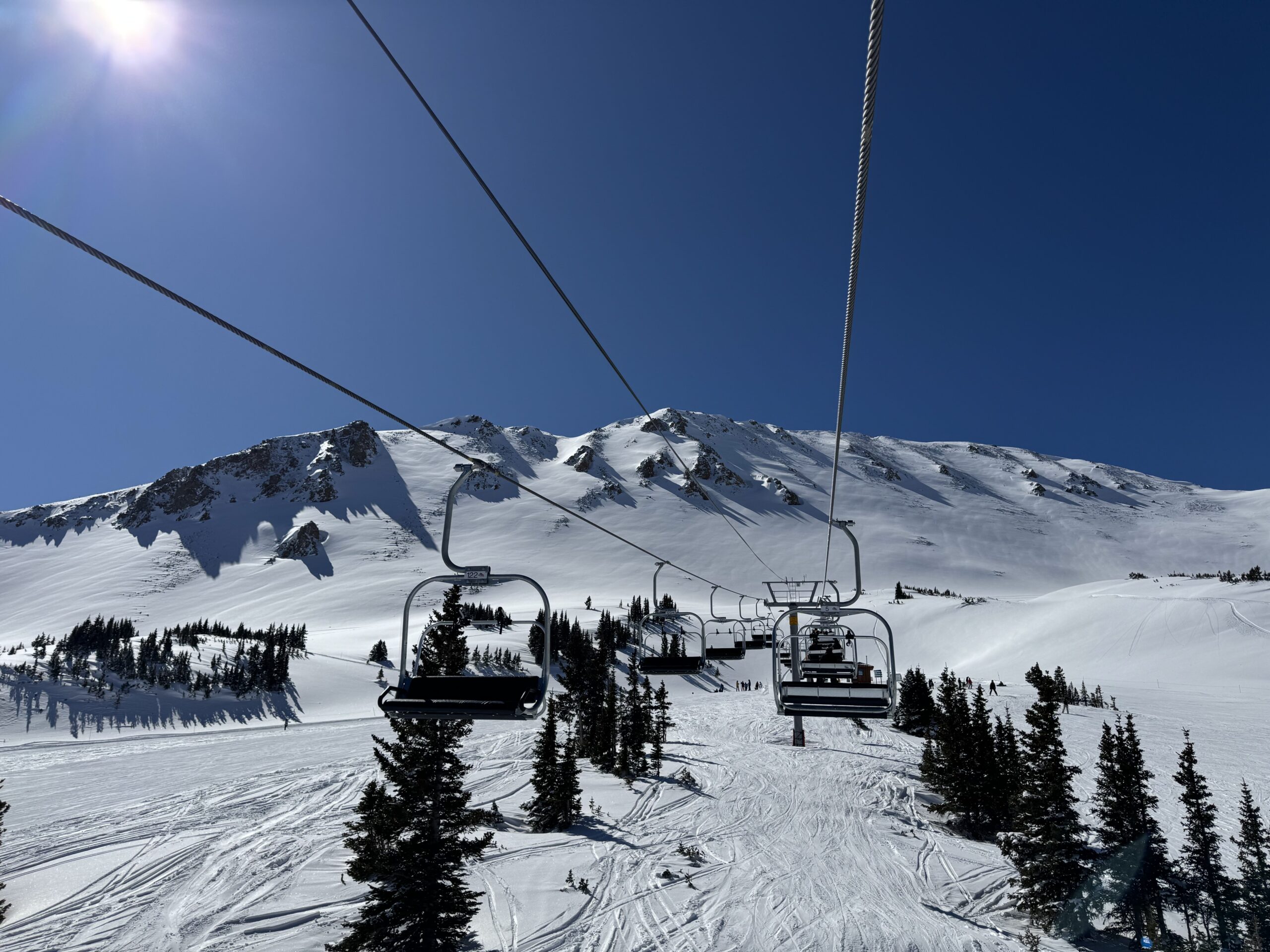 Bluebird