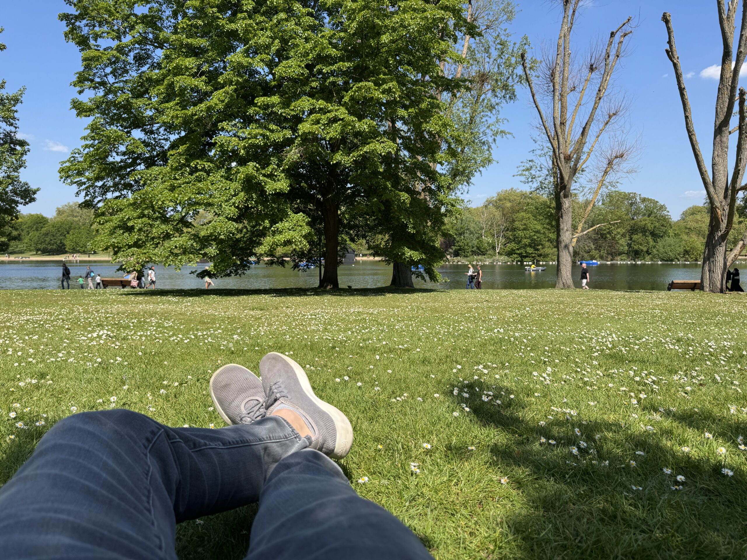 Hyde Park Napping
