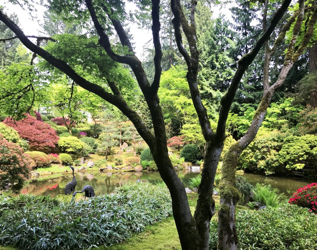 Japanese Garden Tour