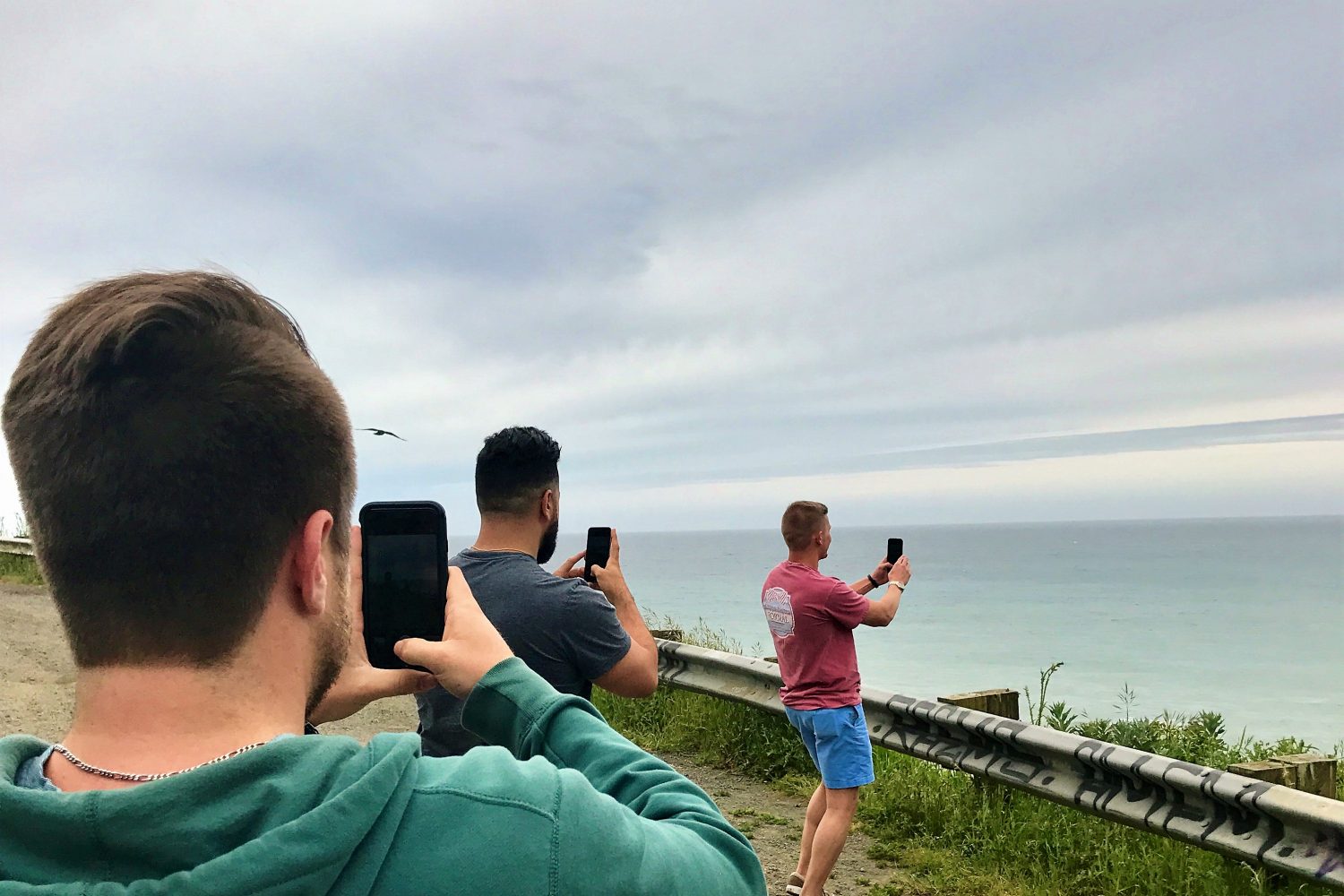 West coast Picture-ception